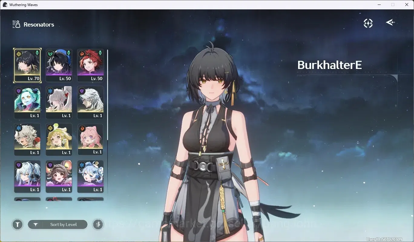 Wuthering Waves Accounts NA|UL 49|Rank5|2 Char Limited [Hiyuki RC4]+Sign, R image 2