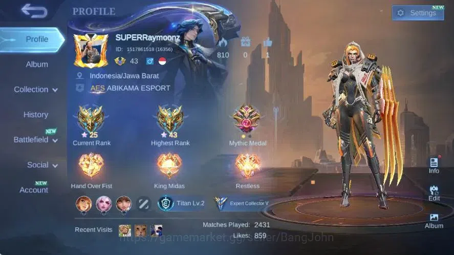 Mobile Legends: Bang Bang Accounts Global|Skin 112|Expert V|Collector Natalia,P.A.C.E image 1