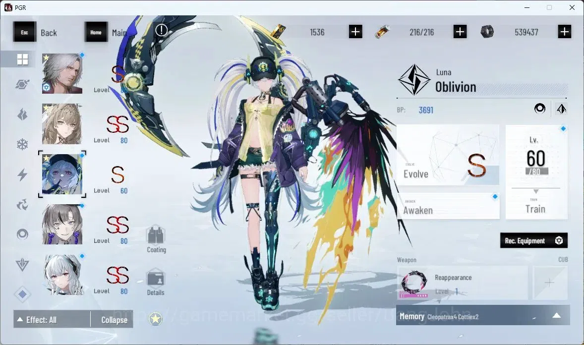 Punishing: Gray Raven Accounts ASIA|Lv 75| [S Daemonissa,S Limpidity,S Parhelion, image 11