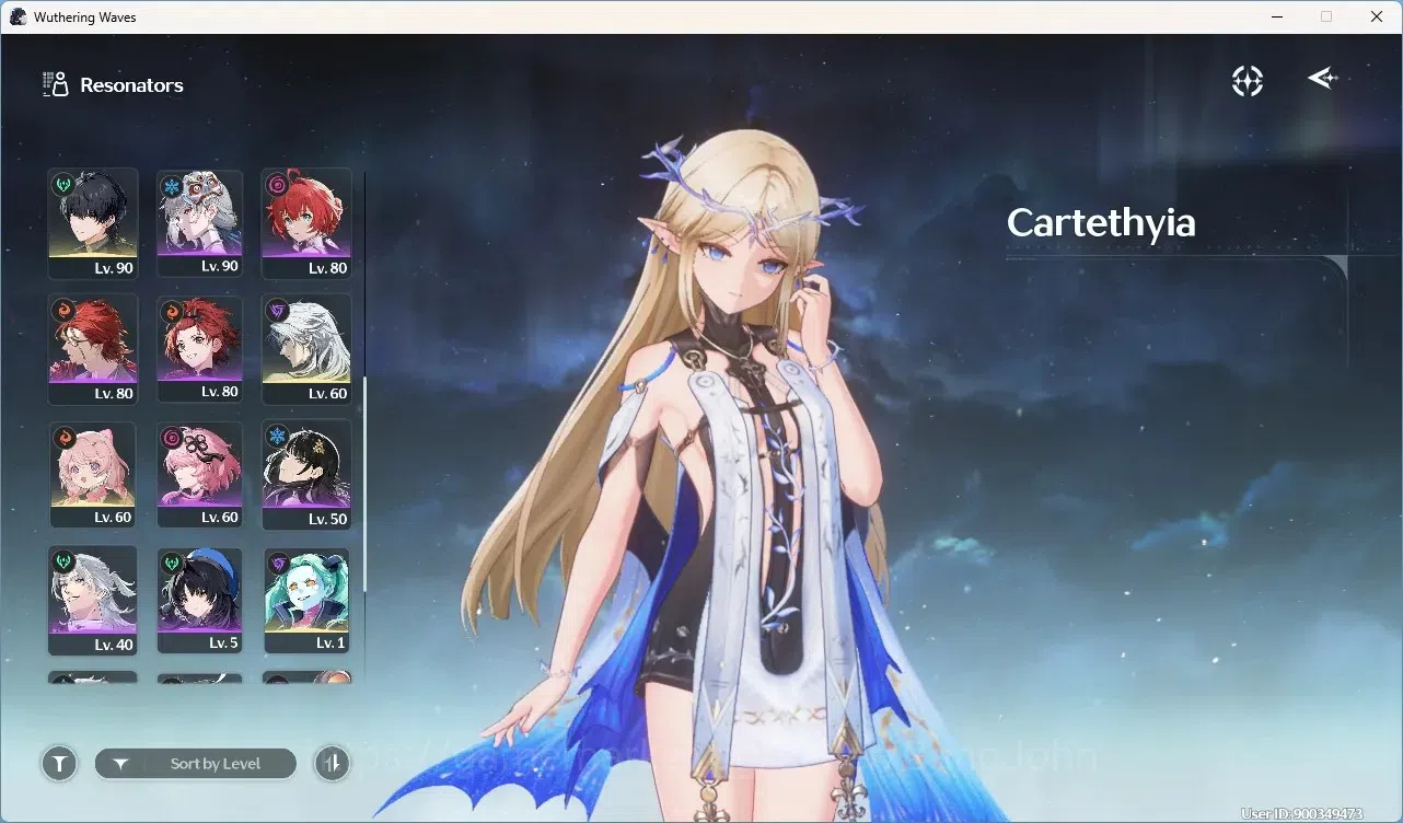 Wuthering Waves Accounts Others SEA|UL 80|Rank 8| 12 Char Limited 19