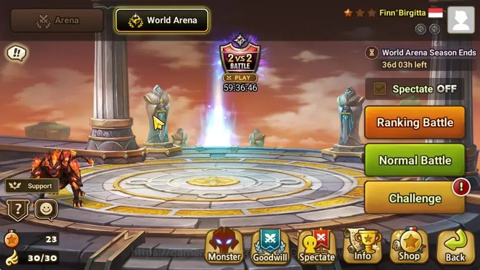Summoners War: Sky Arena Accounts End-Game GLOBAL Lv 66|1 LD[Birgitta]|15 Total NB5[Savannah,Oliver,Riley,Etc]+46 8