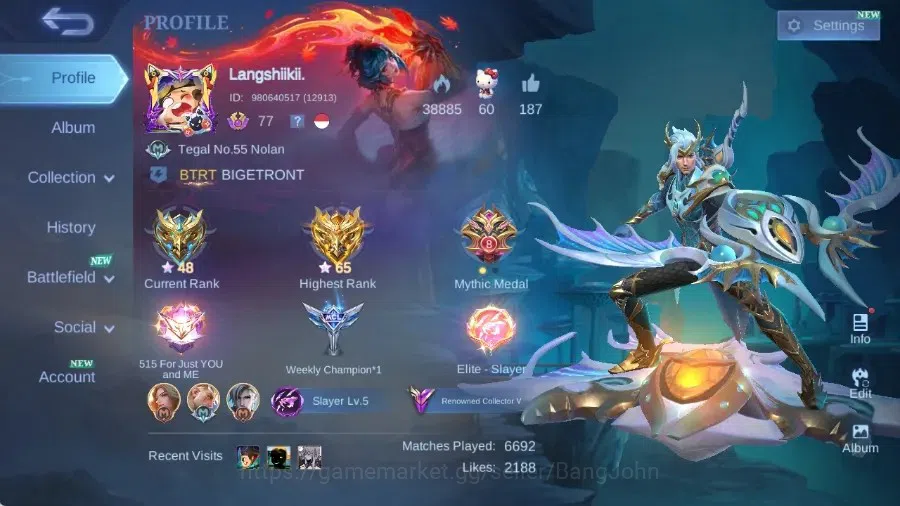 Mobile Legends: Bang Bang Accounts Collector Global|Skin 227|Renowned|Collector Natalia,PACE Fanny,Blazing 1