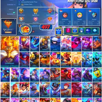 Mobile Legends: Bang Bang Accounts 🔥 #3983 🔥 497 Skins 💎 MEGA COLLECTOR V 👑 Legend Franco King of Hell ⚔️ Legend Gusion