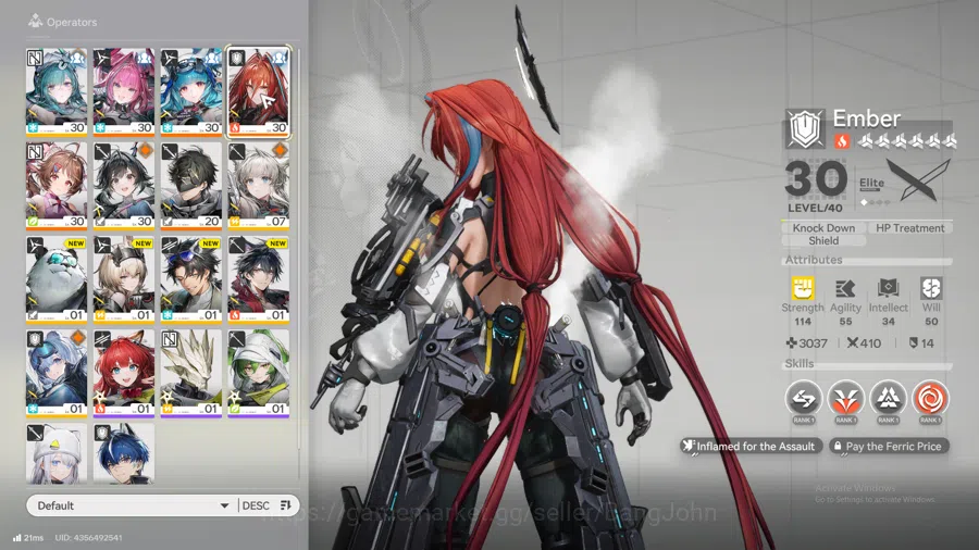 Arknights: Endfield Accounts ASIA | lvl 30, WP S6 3 Yvonne, lastrite, ember, Ar image 13