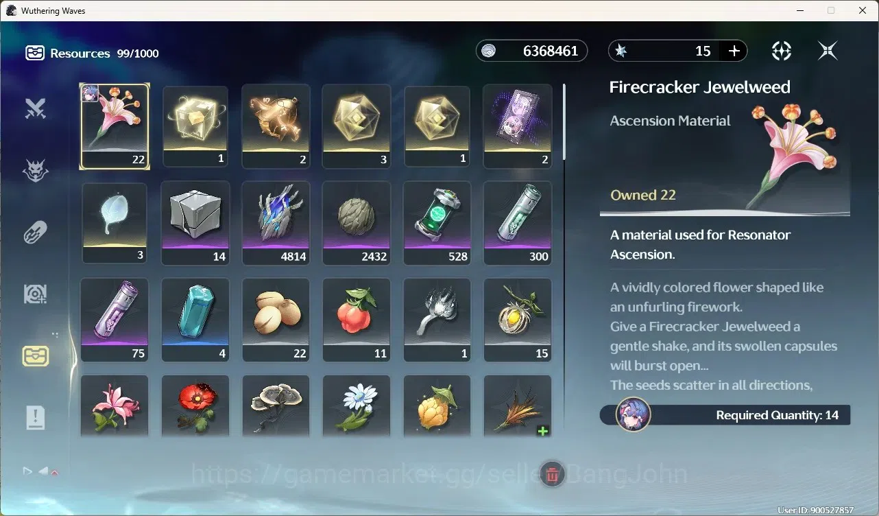 Wuthering Waves Accounts Others SEA|UL 63|Rank 6|8 Char 16