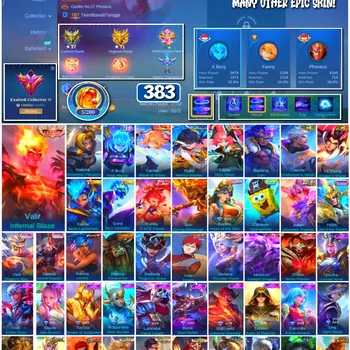 Mobile Legends: Bang Bang Accounts 🔥 #4131 🔥 💎 383 Skins 👑 Legend Valir Infernal Blaze ⚔️ Exalted Collector IV