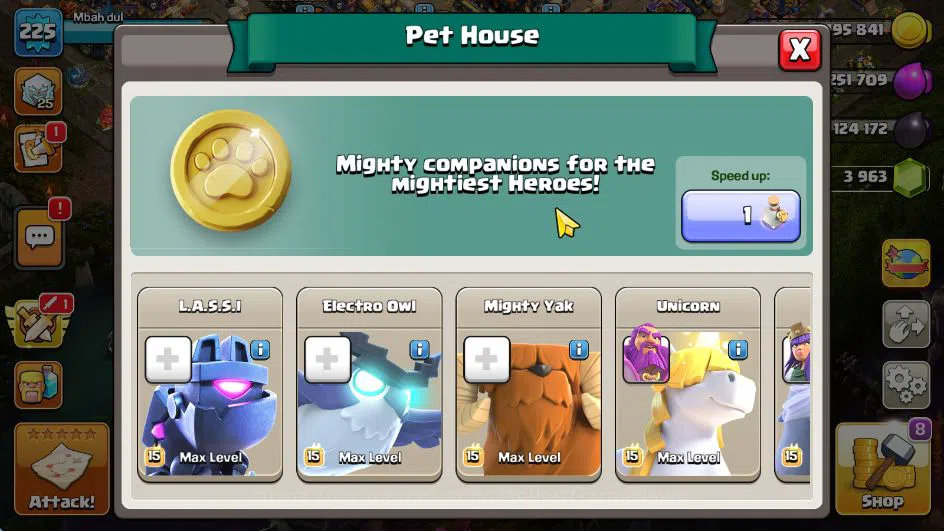 Clash of Clans Accounts TH 17-BH 10|LV 225|HH 11|BK 73,AQ 84,GW 65,MP 65,R image 15