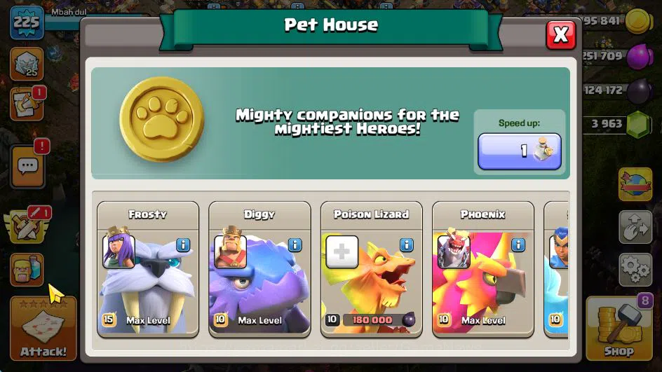 Clash of Clans Accounts TH 17-BH 10|LV 225|HH 11|BK 73,AQ 84,GW 65,MP 65,R image 16