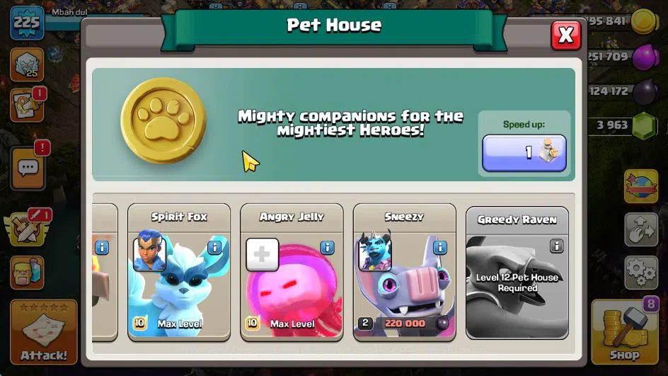Clash of Clans Accounts TH 17-BH 10|LV 225|HH 11|BK 73,AQ 84,GW 65,MP 65,R image 17