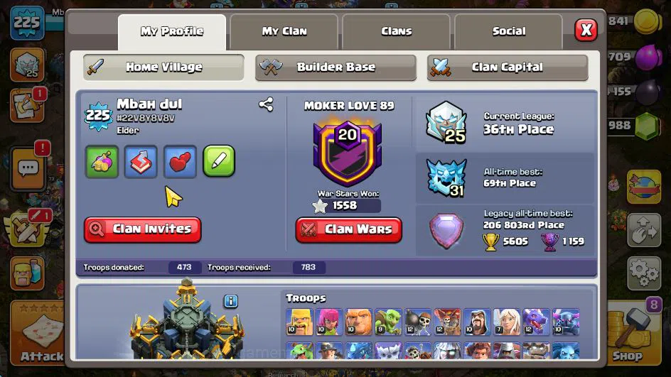 Clash of Clans Accounts TH 17-BH 10|LV 225|HH 11|BK 73,AQ 84,GW 65,MP 65,R image 2