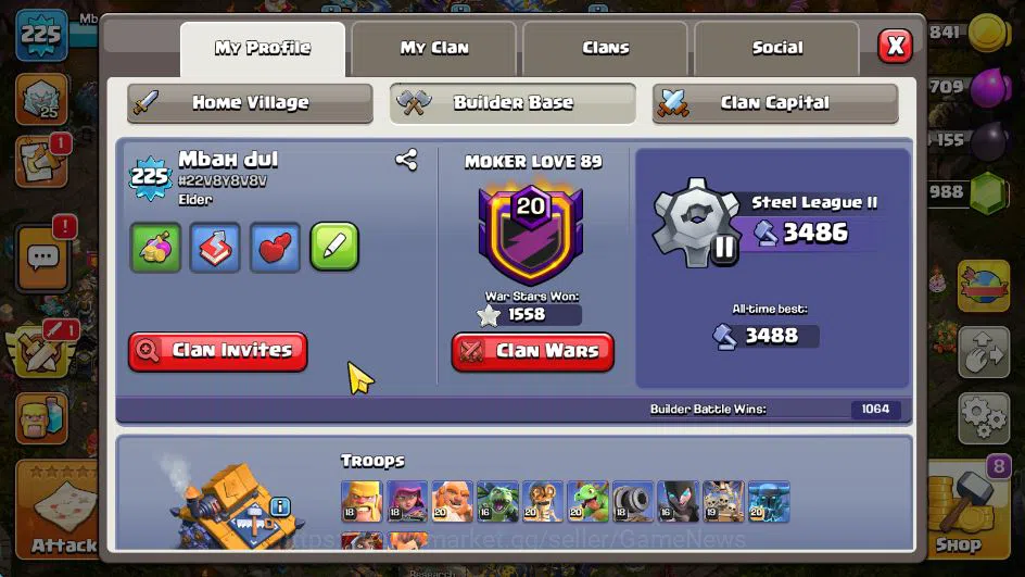 Clash of Clans Accounts TH 17-BH 10|LV 225|HH 11|BK 73,AQ 84,GW 65,MP 65,R image 4