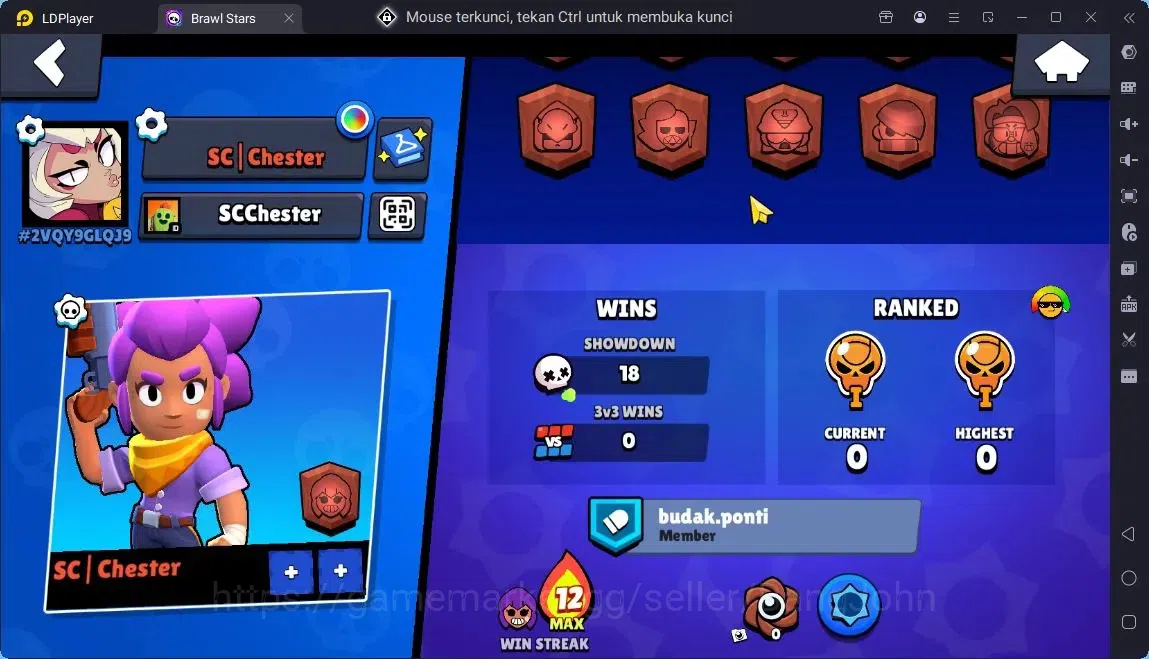 Brawl Stars Accounts Global |Trophy 331|10 Brawler|1150 Bling|55 Gems|1 S Rare,1 Epic Skins| ProtectOff |Check SS BRS290B 3