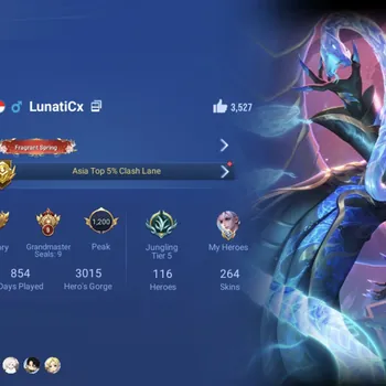 Honor of Kings Accounts Rare Skin Global Hero 116 Skin 264: AOT Levi (Allain) Stellar Kaizer, 3 Limited(Sima Yi, Lady Sun