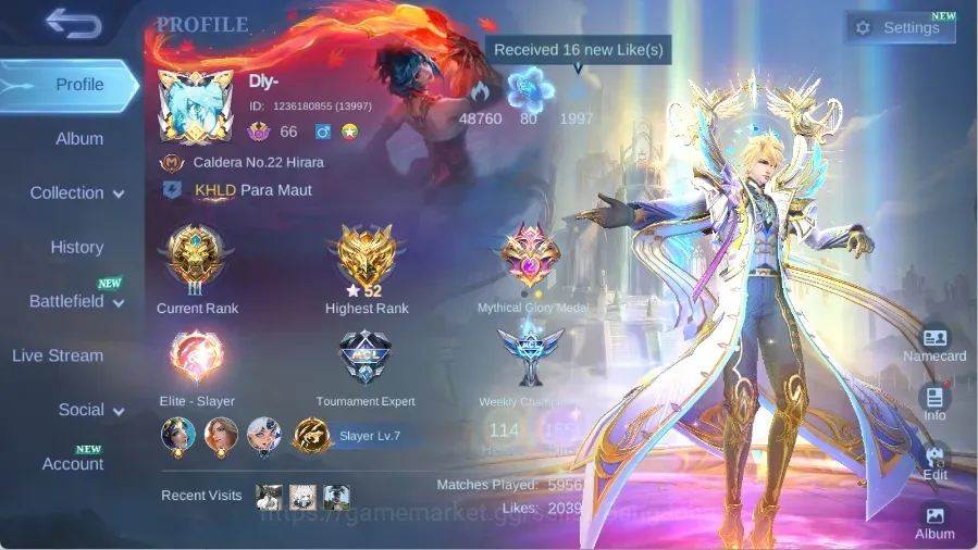 Mobile Legends: Bang Bang Accounts Others Global|165 Skin|Expert|Annual 1