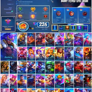 Mobile Legends: Bang Bang Collector #3389 226 Skins | Collector Natalia | KoF Karina | image 1