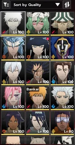BLEACH: Soul Resonance Accounts NuverseSEA|LV 79|17 SSR [SoiFon+Skin,IchigoIH B3,N image 2