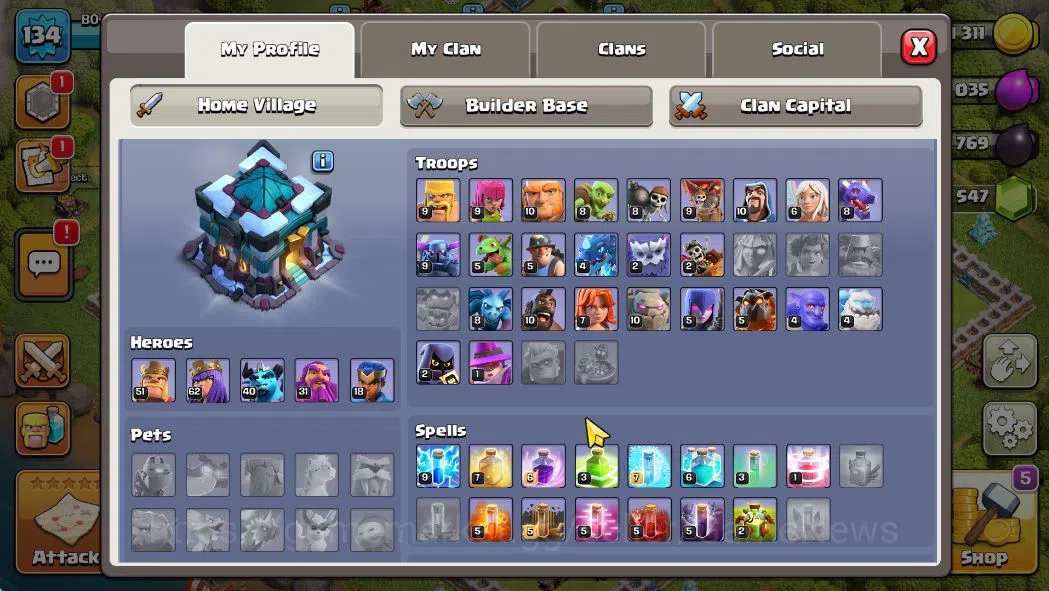 Clash of Clans Accounts TH 13 - BH 8|LV 134|HH 7|BK 51,AQ 62,GW 31,MP 40,R image 12
