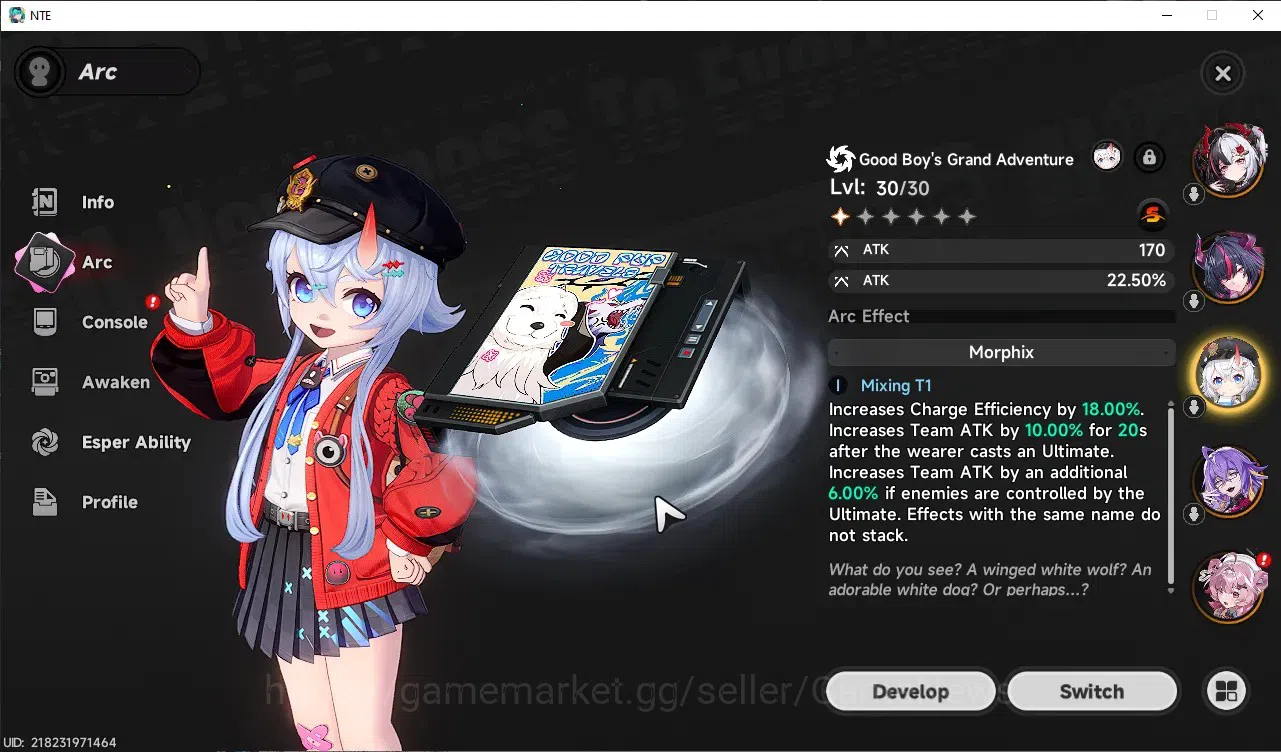 Neverness to Everness Accounts GLOBAL SEA|HL 43|TL 28|8S-Class([LacrimosaA1+Outfit,Shinku]+Sign,Nanally+Livery)|1S-Class 10