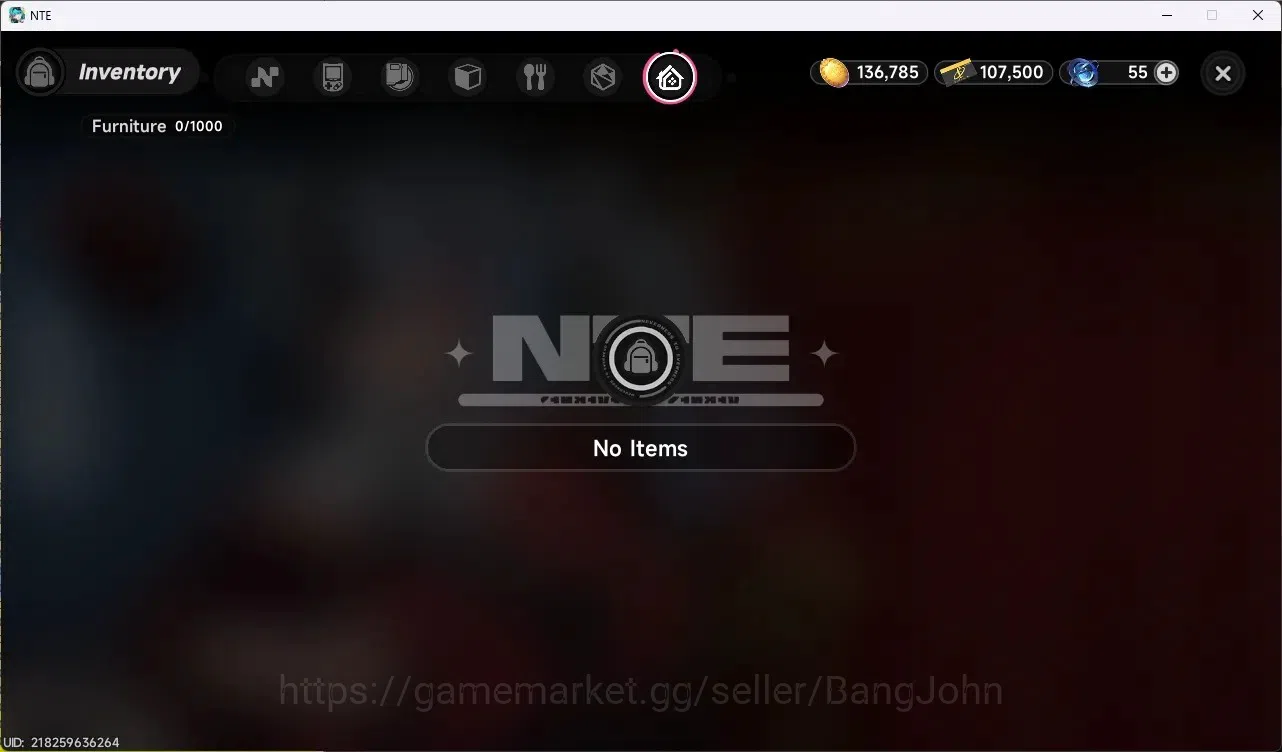 Neverness to Everness Accounts NA | Hunter Lv 10 | 2 S-Class (Lacrimosa, Jiuyuan) image 13