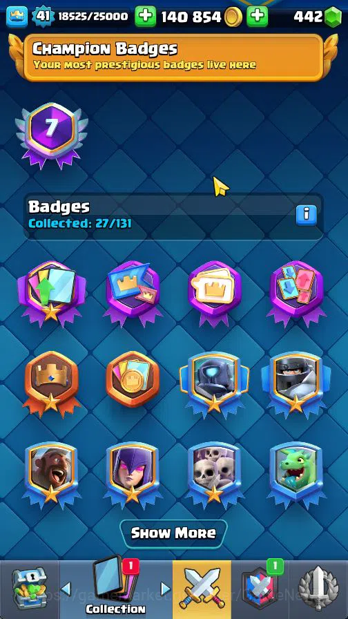 Clash Royale Accounts Lv 41|Trophy 8699|KTL 13|Limited Skin|Card 119| 1 image 18