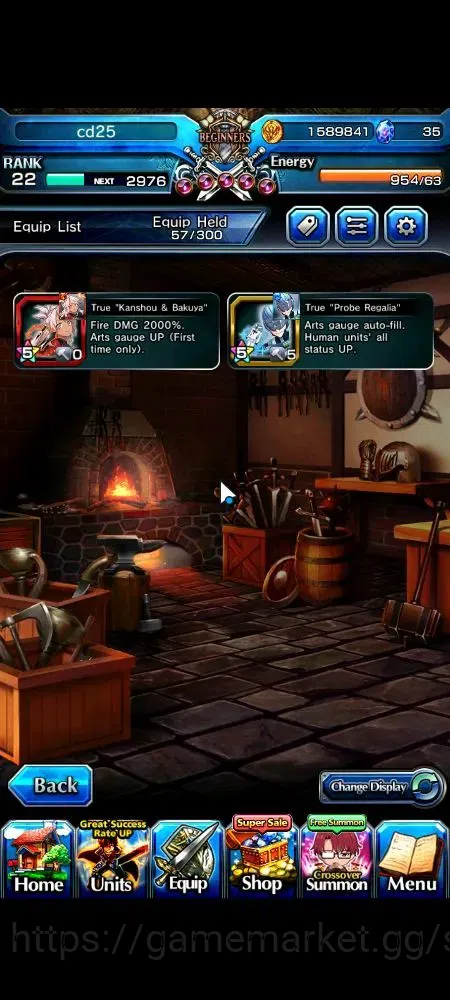 Grand Summoners Accounts Global|Rank 22|5 Ascend+2 TW|Houka Inumuta+TW, Chl image 6