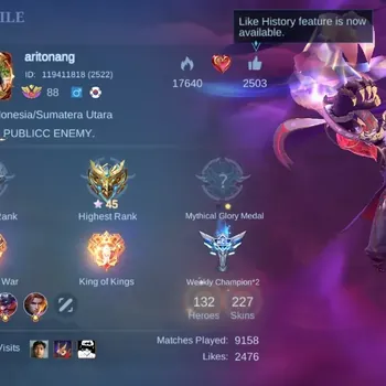 Mobile Legends: Bang Bang Accounts Others Hero 132|Skin 227|Max Emblem|Karina KoF,Tigreal