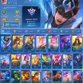 Mobile Legends: Bang Bang Accounts Others HERO 85 SKIN 182 | EMBLEM ALL MAX| COLECTOR NATALIA| PENGASUS SEIYA BADANG| EPIC