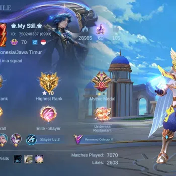 Mobile Legends: Bang Bang Accounts Others Global|Skin 206|Renowned|Collector Natalia,Lightborn Alucard+Harith+Granger,PACE