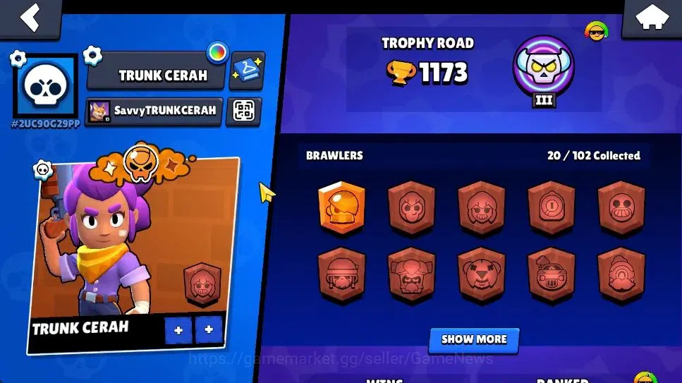 Brawl Stars Accounts 1173 Trophy|7K Bling|20 Brawlers 3 Max Lvl [BO,Edgar,Tara]|2 Myth [Porcelain Pearl,Possessed Poco] 7 2