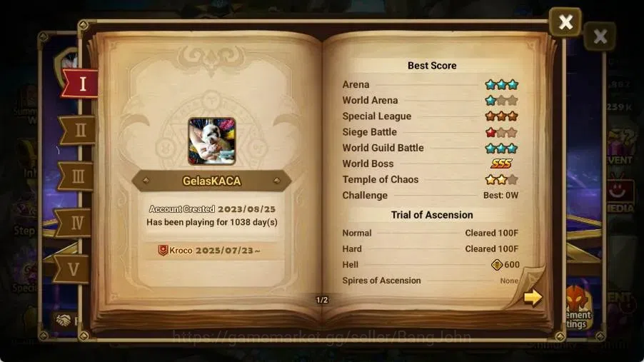 Summoners War: Sky Arena Accounts End-Game Global Lv100|5 LD[Lucifer,Juliane,Maya,Craig,Birgitta]|70 NB5 Leo,Etc|160 9