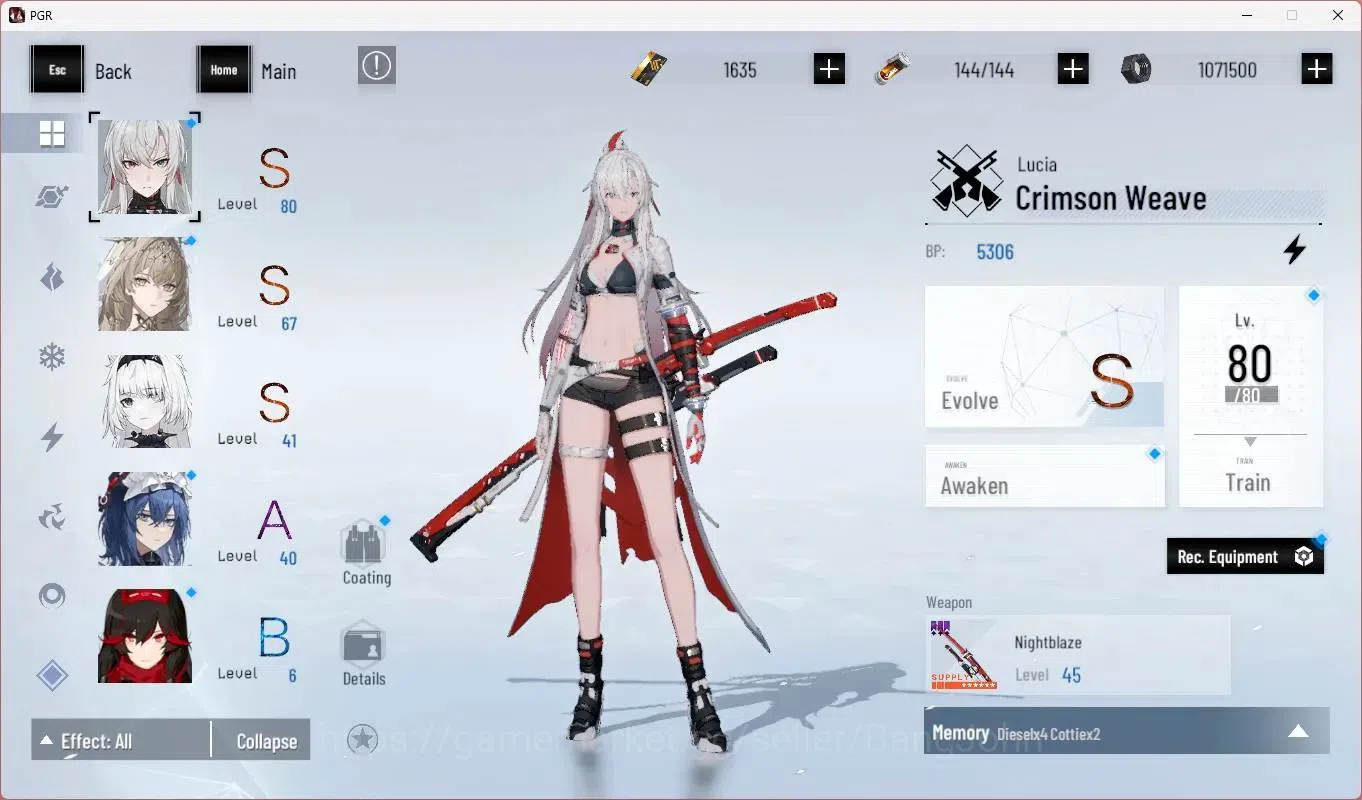 Punishing: Gray Raven Accounts Mid-Game ASIA | L45 | S Lucia CW + Sign (Lv80), S Bianca C (Lv67), S Feral (Lv41) | BC 1635 3