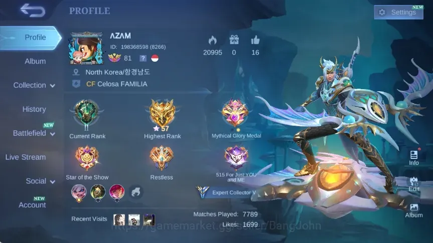 Mobile Legends: Bang Bang Accounts Collector Global|Skin 135|Expert V|Collector Natalia,Lightborn Tigreal,S.A.B.E.R 1