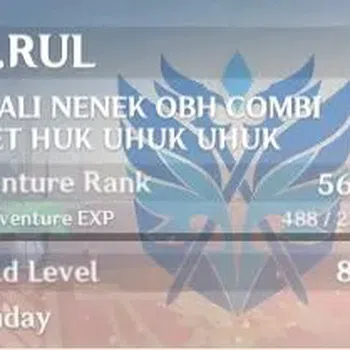 Genshin Impact Accounts Others ASIA|USNunset|AR 56|2 Lim: Mavuika, Citlali + 4legend char|Low Explore|Check