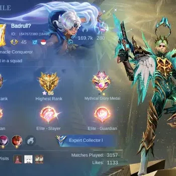Mobile Legends: Bang Bang Collector Global|Skin 142|Expert|KOF Karina,PRIME Granger,Sa image 1
