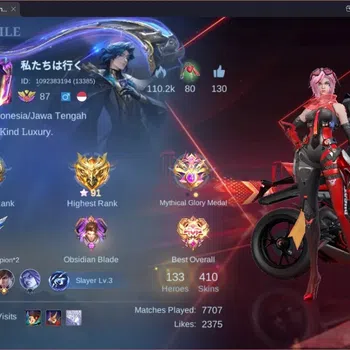 Mobile Legends: Bang Bang Accounts Collector Global|Hero 133|Skin 410|Exalted|Legend Alucard|Prime Granger|Ducati Bened|TFM