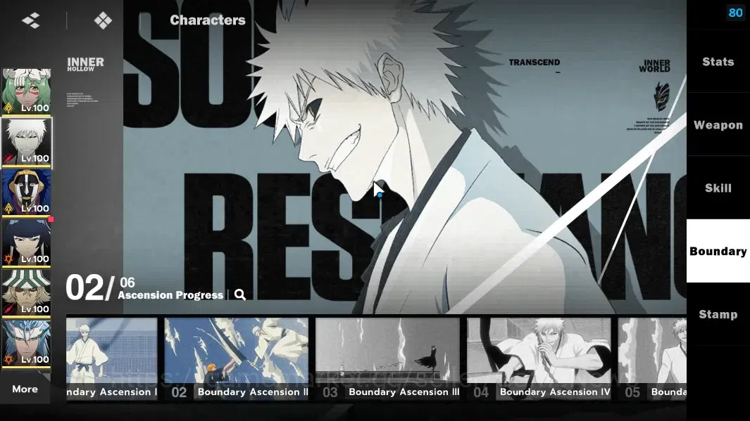 BLEACH: Soul Resonance Accounts NuverseSEA|LV 73|10 SSR[NellielB4,IchigoIHB2,Mayur image 9