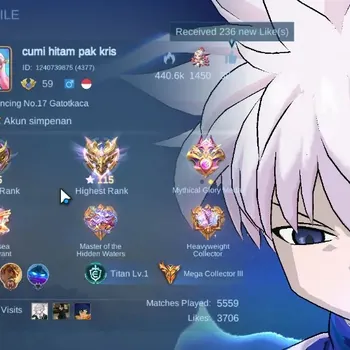 Mobile Legends: Bang Bang Accounts Collector Hero136|Skin415|Mega|HighImmo 115|Legend(Alucard,Jhonson),4 Collab JJK,2
