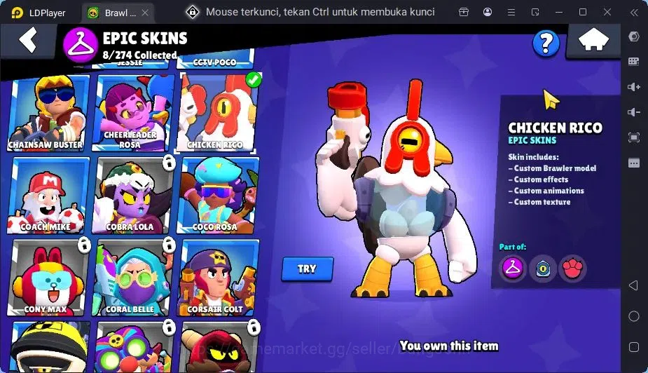 Brawl Stars Accounts Global | 26 Brawler|2 Max Hypercharge(Melodie,Surge)|1 Hypercharge,8 Epic Skin|7255 Bling+PP 2412 11