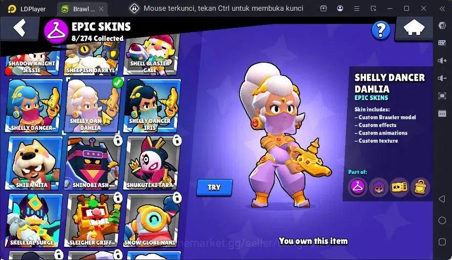 Brawl Stars Accounts Global | 26 Brawler|2 Max Hypercharge(Melodie,Surge)|1 Hypercharge,8 Epic Skin|7255 Bling+PP 2412 16