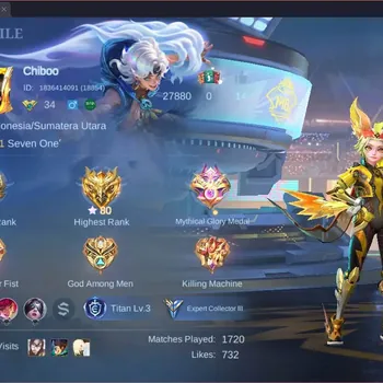 Mobile Legends: Bang Bang Accounts Others Global|Hero 79|Skin 120|Expert|Prime Granger|KOF Karina|Luckybox Ruby|Meowkin