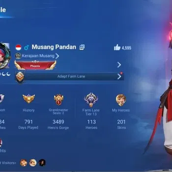 Honor of Kings Accounts Rare Skin Global|113H 201S|1Limbo,LNY|2 Legend|Many Collab(AFO,BLEACH,ULTRAMAN Etc)+Many
