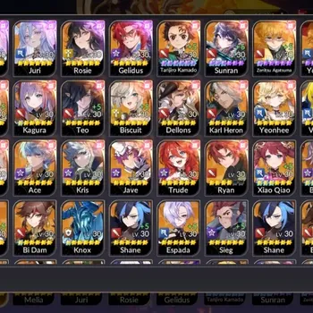 Seven Knights Re:Birth Accounts Global|Full