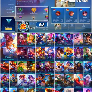 Mobile Legends: Bang Bang Accounts #4734 67 Skins | Floryn Fluffy Dream (SANRIO) | Rafaela Flower Fairy (EPIC) | Vexana