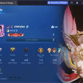 Honor of Kings Accounts Rare Skin Global | 113H 228S |FLAWLESS XiaoQiao,BLESSED Nakoruru,LNY Nuwa,LIMITED Wang Zhoujun,And