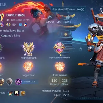 Mobile Legends: Bang Bang Accounts Collector Hero 110|Skin 223|Ex Imo 126|Moskov AllStar,2 CC [YSS,Nata],4 Lightborn
