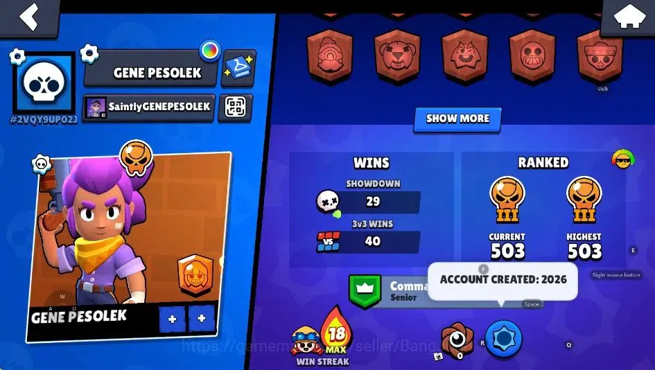 Brawl Stars Accounts Android|1074 Tropy|15 Brawlers-1 MaxHypercharge [B image 3