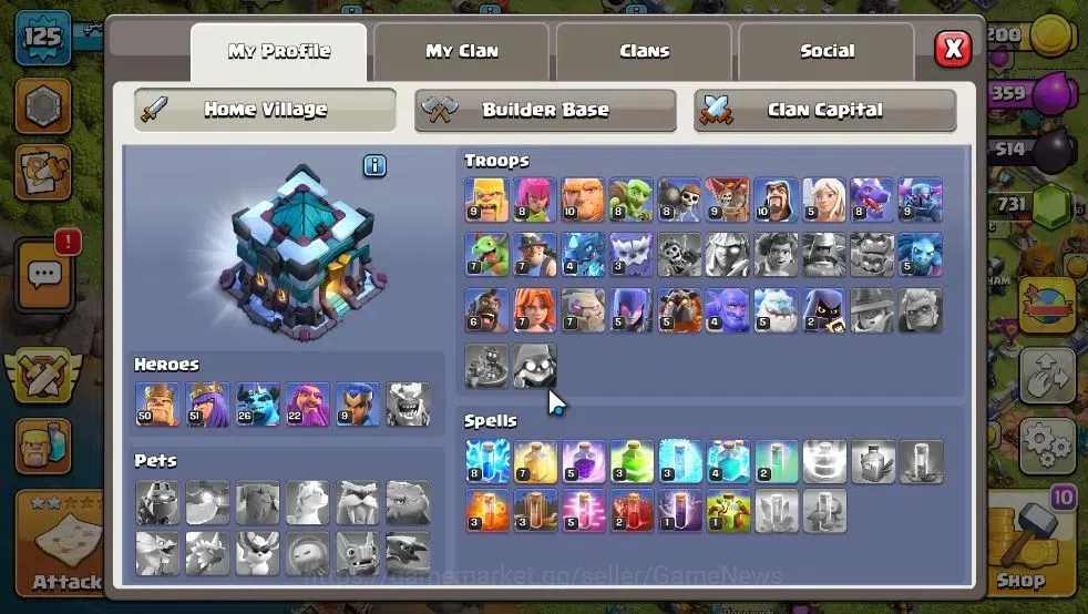 Clash of Clans Accounts Lv 125|TH 13 - BH 6 Lvl 125 |Limited Skin|BK 50,AQ image 3