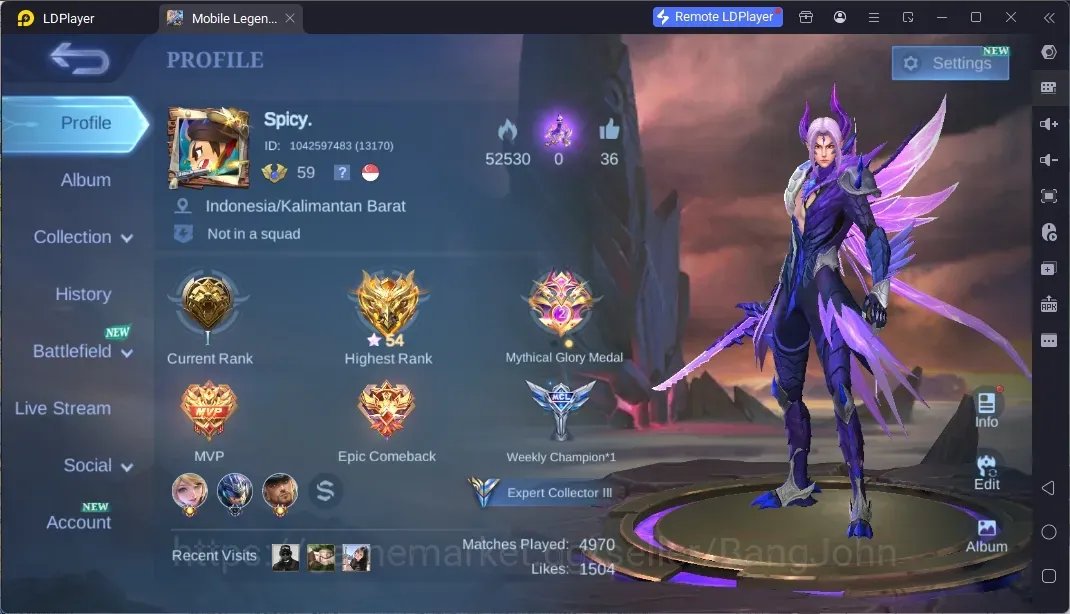 Mobile Legends: Bang Bang Accounts Collector Global|Hero 93|Skin 141|Expert|Collector Natalia|DragonTamer 1