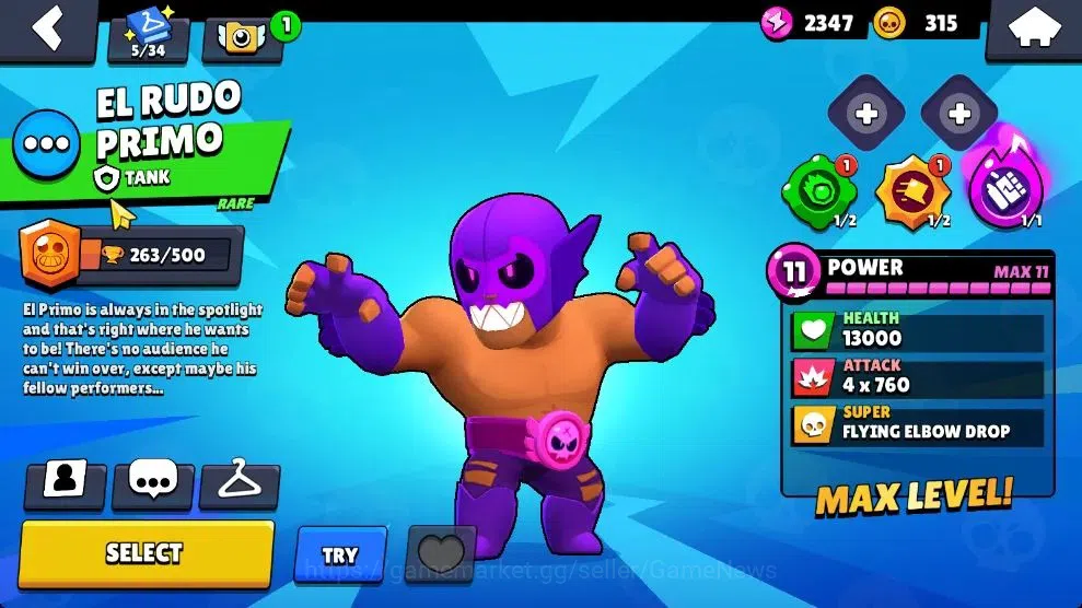 Brawl Stars Accounts 1003 Trophy|16 Brawlers 3 Max Lv [Carl,Primo,Shell image 14