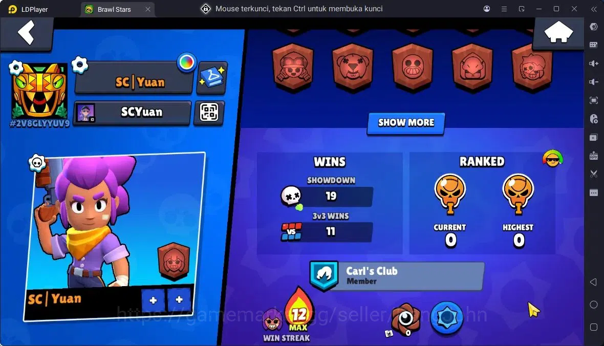 Brawl Stars Accounts Thropy 596 | 13 Brawler | 2 Max,1 MaxHC (Shelly)|1 Legend,1 Mythic,3 Epic Skin|2570 2